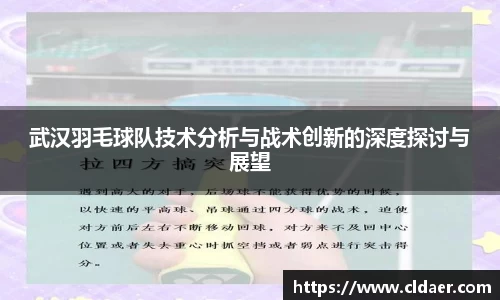 武汉羽毛球队技术分析与战术创新的深度探讨与展望