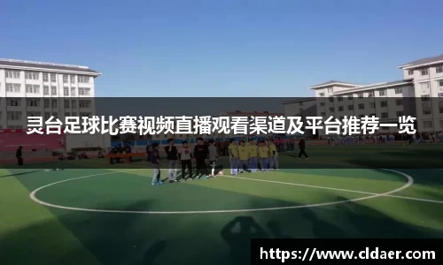 U8国际