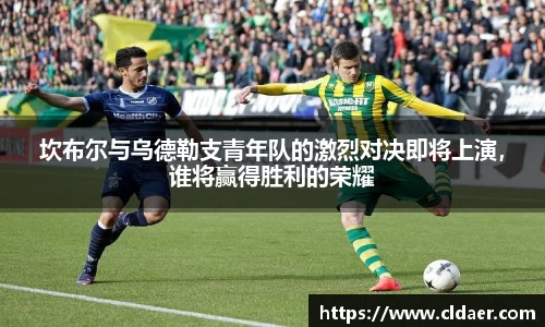 U8国际平台